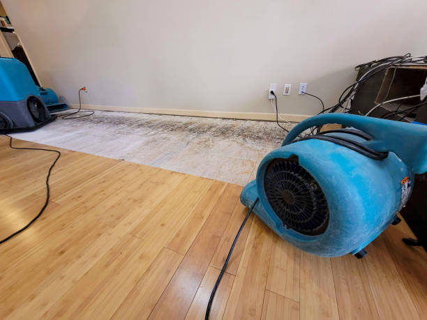 Professional Water Removal technician working in Cuddy, PA